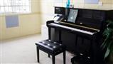 金柠檬国际钢琴