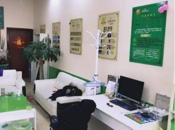 牛爸爸植物养发堂