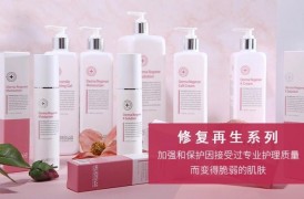 普丽缇莎