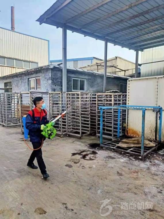 山东虫清消杀灭虫加盟公司