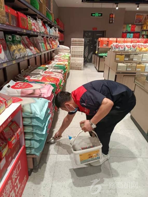 山东虫清消杀灭虫加盟公司