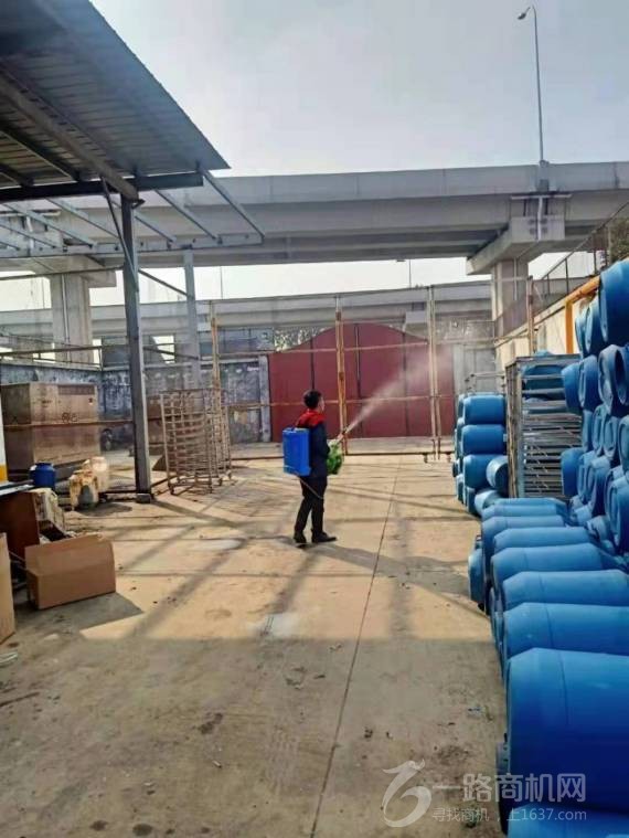 山东虫清消杀灭虫加盟公司