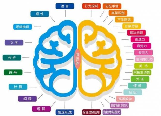 慧启乐脑潜能开发