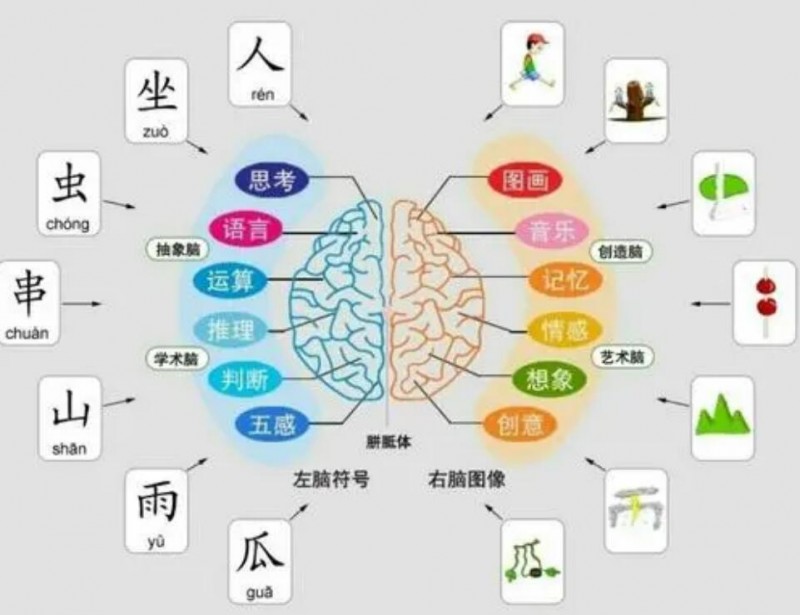 饶教授全脑开发