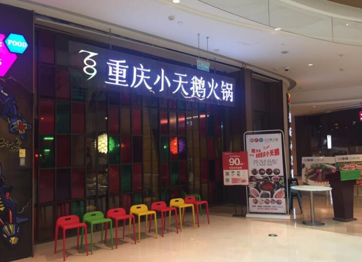 重慶小天鵝火鍋加盟