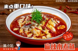 苗小壇酸湯魚