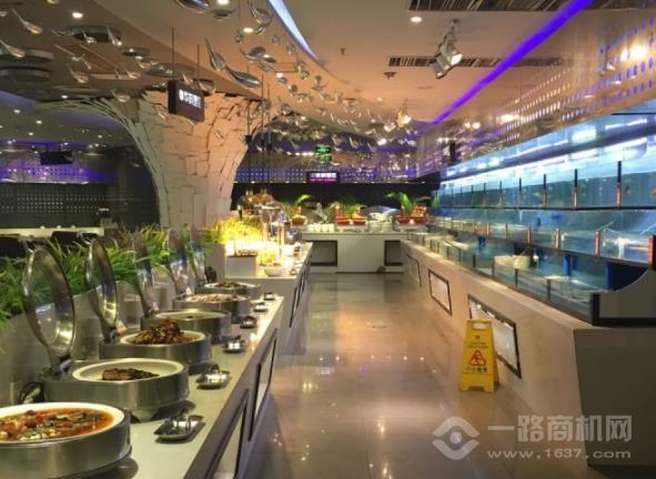 银鲨国际美食百汇加盟