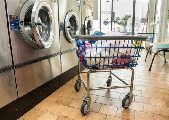 清新百合高质洗衣