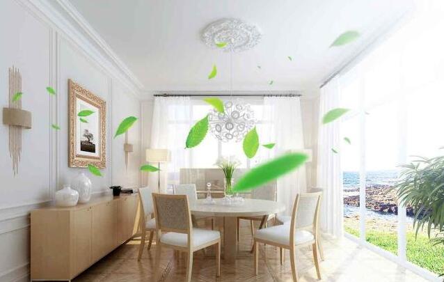 绿萝帮除甲醛加盟