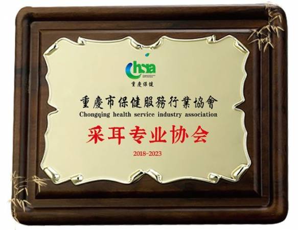 川耳匠采耳
