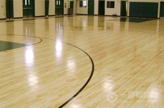 小麦篮球训练营