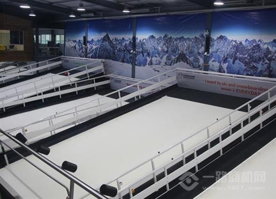 北极狐室内滑雪