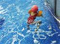 贝瑞特亲子游泳