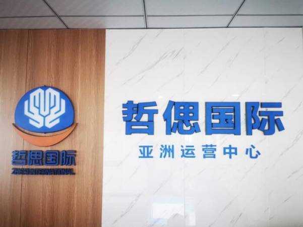 哲偲国际
