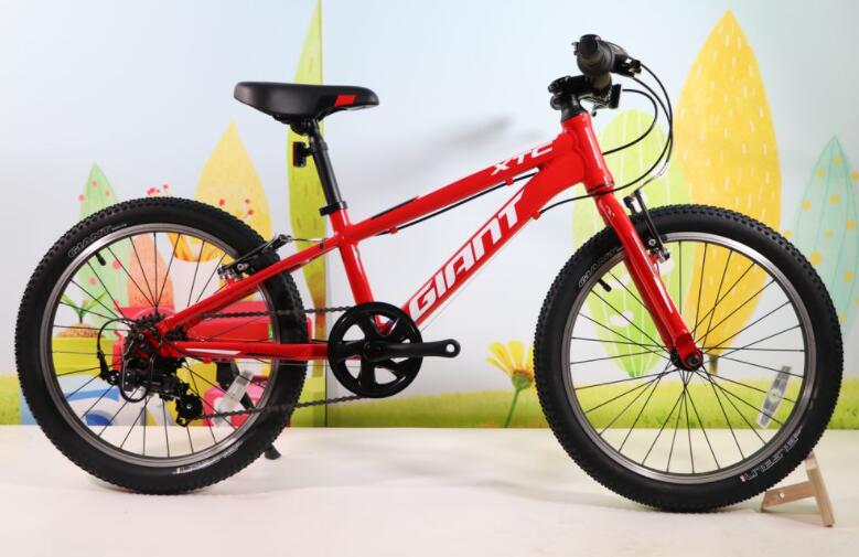 捷安特自行車加盟