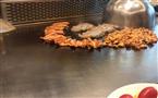 豪食铁板烧