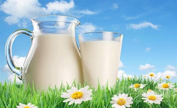 齐梅牧场鲜奶吧