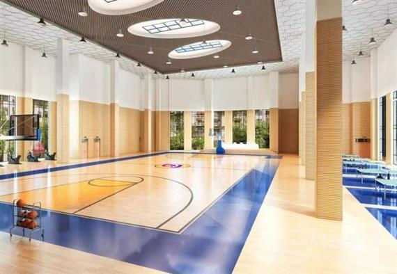 索图体育篮球训练营