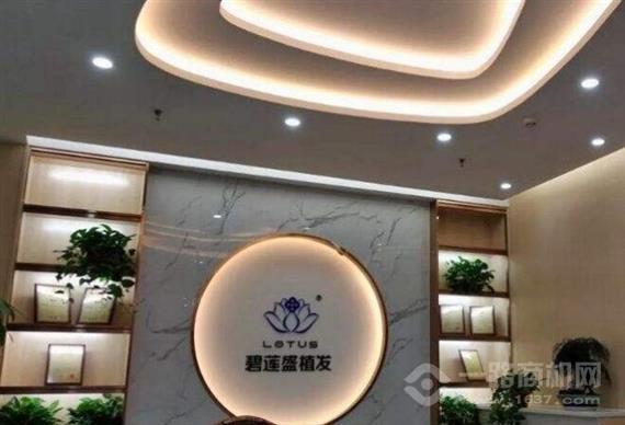 碧莲盛无痕植发