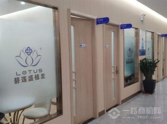 碧莲盛无痕植发