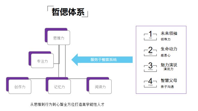 哲偲国际 哲偲国际