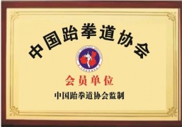 環亞楓葉藝術教育