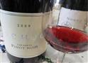 黑皮诺葡萄酒