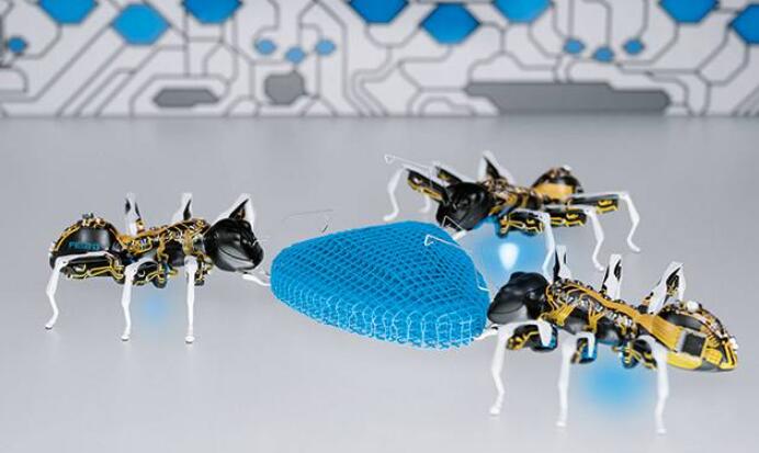 蚂蚁向上机器人编程加盟