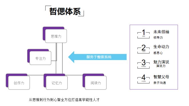 哲偲国际