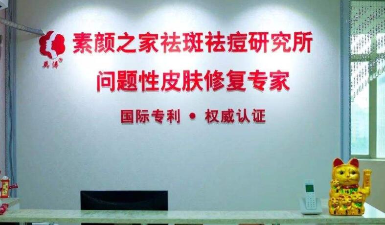 素颜之家祛斑祛痘加盟