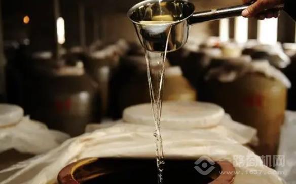 香梁坊酒加盟 香梁坊酒加盟