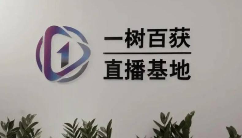 一树百获直播基地