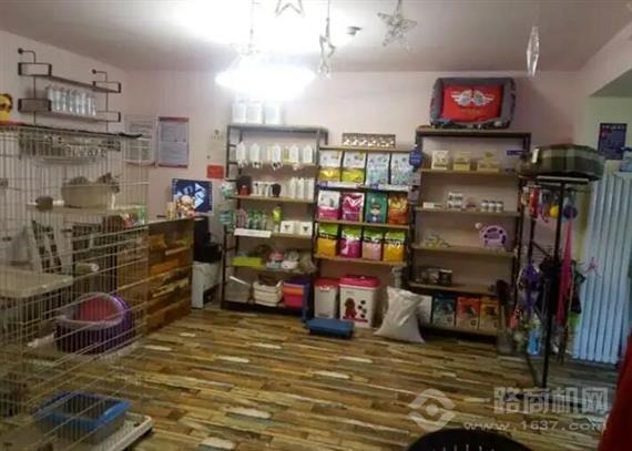 极度宠物店