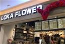 loka flower鹿咖花店