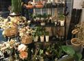 loka flower鹿咖花店
