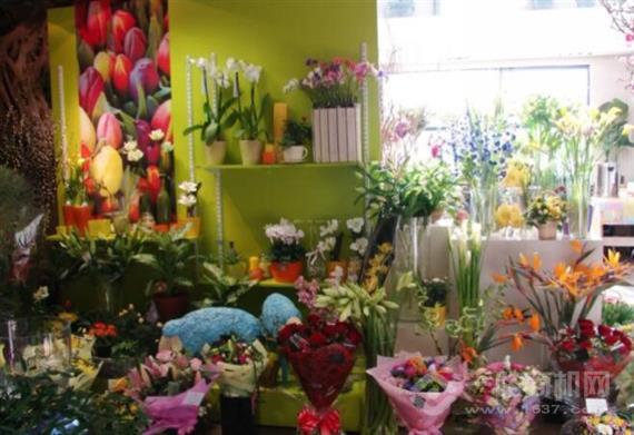 七彩鲜花花店