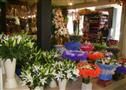 七彩鲜花花店