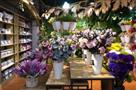 流星花园鲜花店