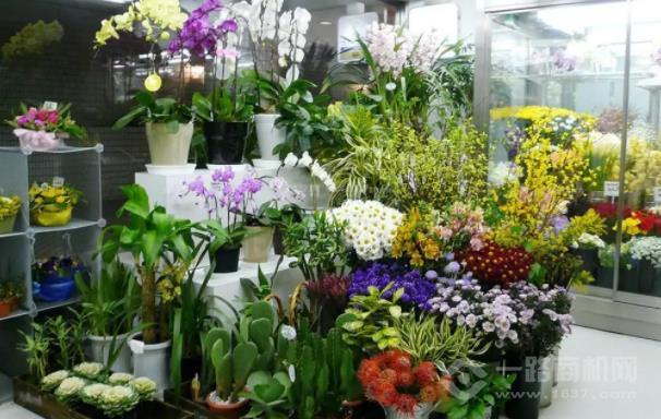 西丽鲜花店
