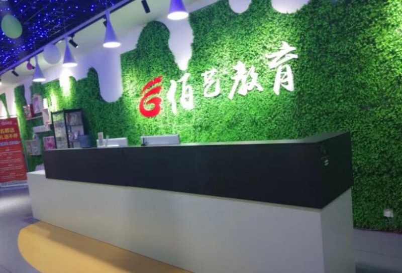 佰艺林少儿艺术加盟