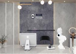 帝凡希藝術墻面定制