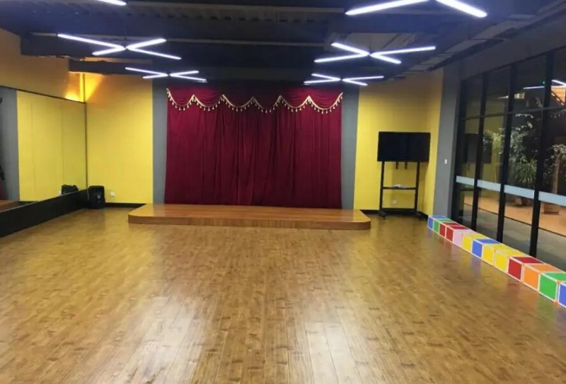 小螺号艺术教育加盟 小螺号艺术教育加盟