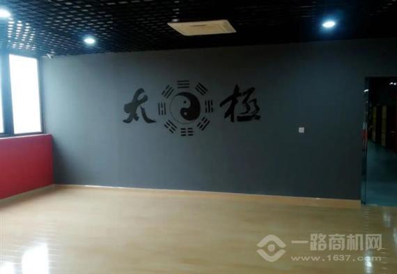 瀚锋太极太极拳