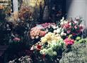 花先生花店