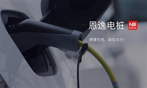 恩逸電樁