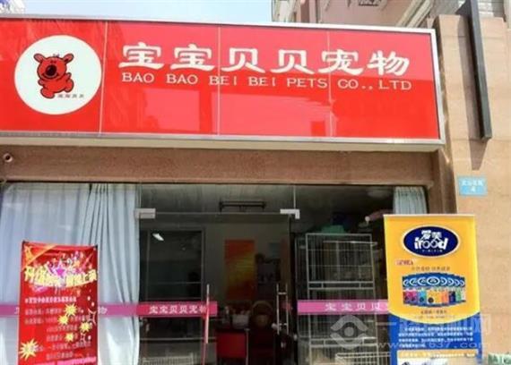宝宝贝贝宠物