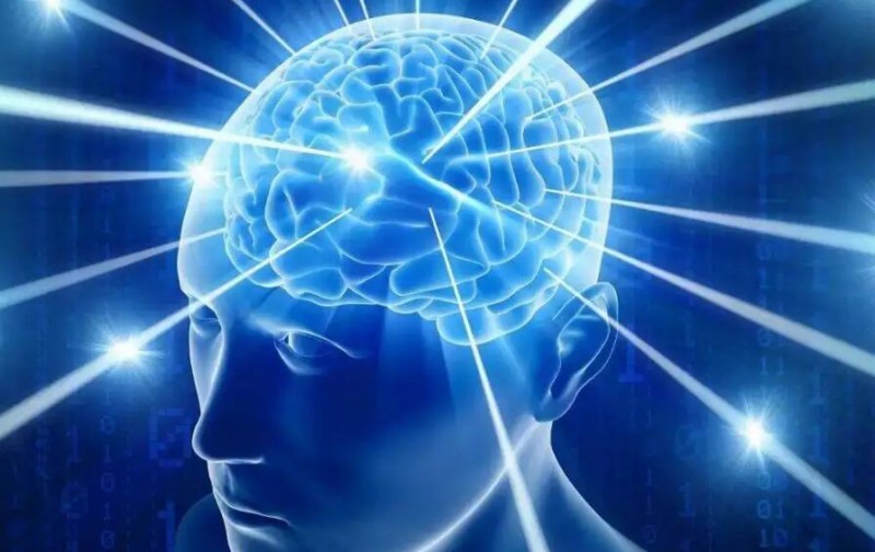 亿多星全脑开发加盟