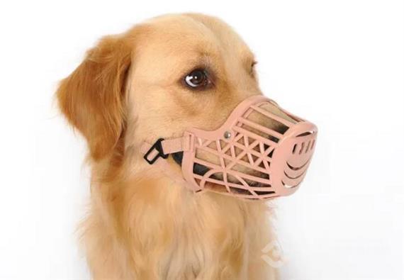 宠贝贝宠物用品