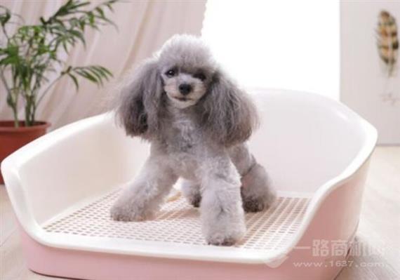 宠贝贝宠物用品