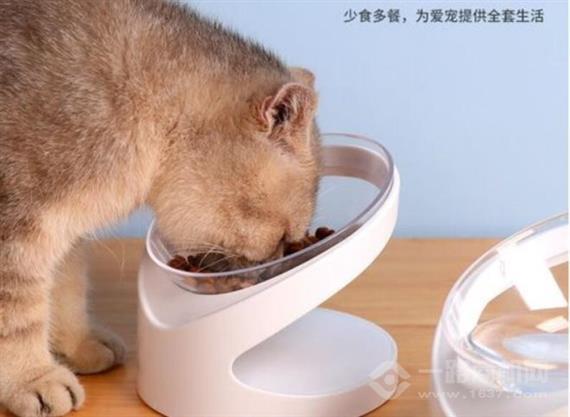 宠贝贝宠物用品